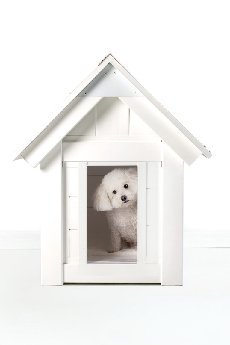 https://furryonez.com/wp-content/uploads/2024/05/dog-houses.jpg